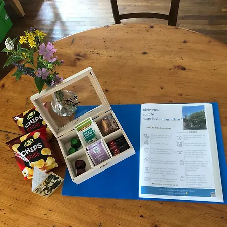 Aupres De Mon Arbre *