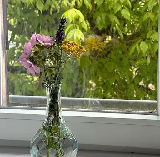 Apartmán Aupres De Mon Arbre Pontmain